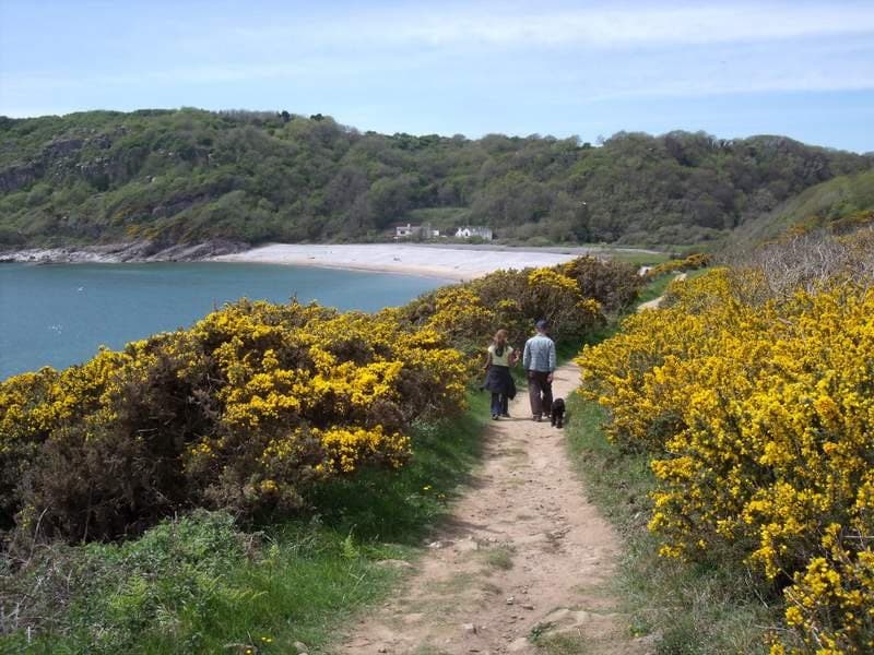 Caswell to Pwll Du