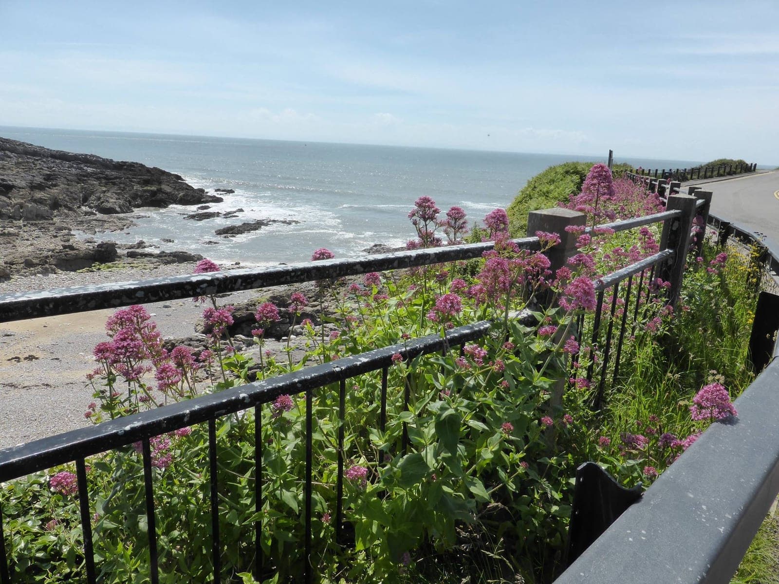 Rotherslade Café